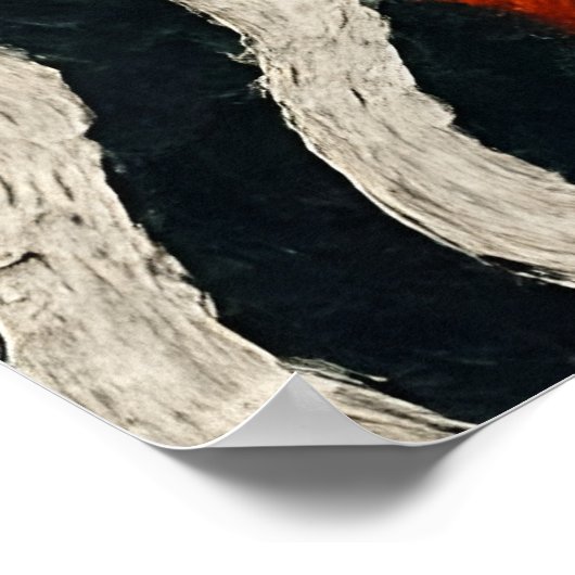 A beautiful red fox  poster (Ecke)