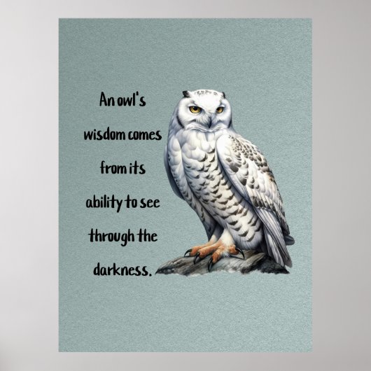 A beautiful white wise Owl Poster (Vorne)