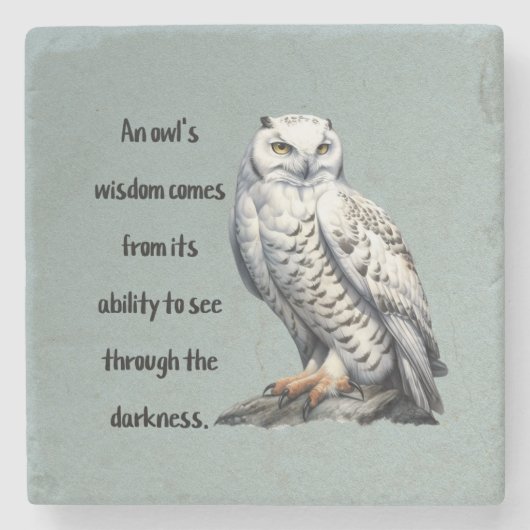 A beautiful white wise Owl Steinuntersetzer (Vorderseite)