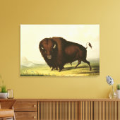 A Bison, c.1832 Leinwanddruck (Insitu (Wohnzimmer))