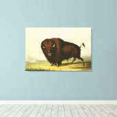 A Bison, c.1832 Leinwanddruck (Insitu (Holzboden))
