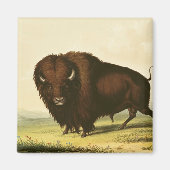A Bison, c.1832 Magnet (Vorne)