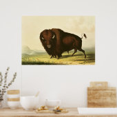 A Bison, c.1832 Poster (Küche)
