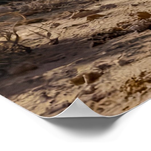 A Bit Dry Poster (Ecke)