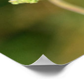 A black ladybug with red spots  poster (Ecke)