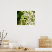 A black ladybug with red spots  poster (Küche)