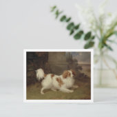 A Blenheim Spaniel, c.1820-30 (Öl auf Leinwand) Postkarte (Stehend Vorderseite)