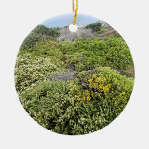 A Blooming California: Sea Cliff Buckwheat Keramik Ornament
