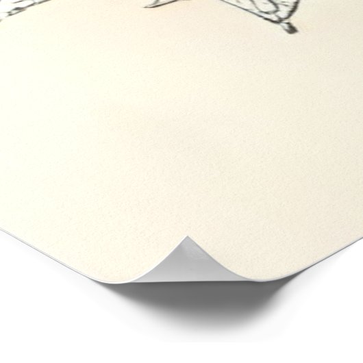 A Bond Beyond Flaws II Poster (Ecke)