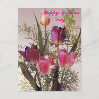 A bouquet of pink tulips in various shades,Happy M Postkarte