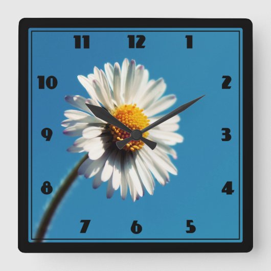 A Bright White Daisy under a Big Blue Sky Quadratische Wanduhr (Vorderseite)