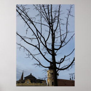 a budding tree poster