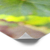 A bunch of Pinot Noir grapes in a Chambertin Poster (Ecke)