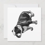 A Calm Welcome Einladung (Vorderseite)