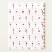 A Candy Cane Planer (Rückseite)