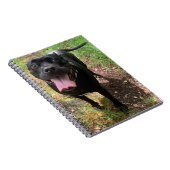 A Cane Corso X Notebook Notizblock (Rechte Seite)