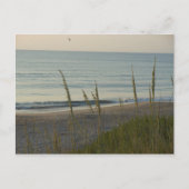 A Carolina Beach Postkarte (Vorderseite)