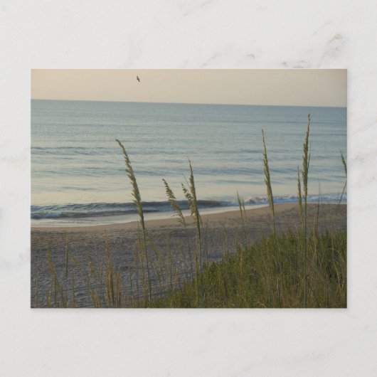 A Carolina Beach Postkarte (Vorderseite)