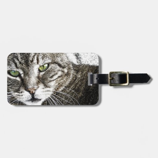 a cat gepäckanhänger (Vorderseite horizontal)