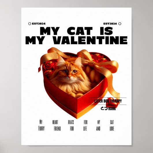A Cat In The Box Therapy Happy Valentine Day Funny Poster (Vorne)