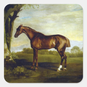 A Chestnut Racehori von George Stubbs Quadratischer Aufkleber