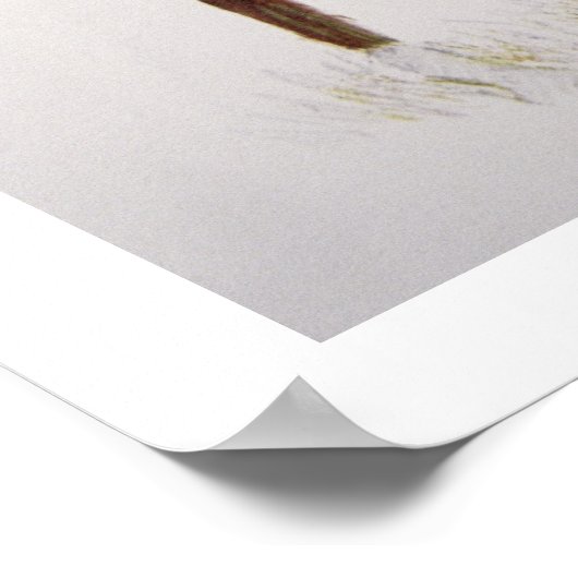 A Cheyenne Brave, 1901 (Farbe litho) Poster (Ecke)