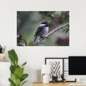 A Chickadee Poster (Heimbüro)