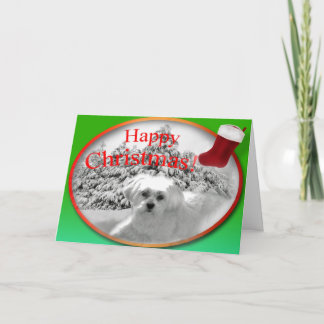 A Christmas Wish Feiertagskarte