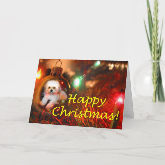 A Christmas Wish Feiertagskarte