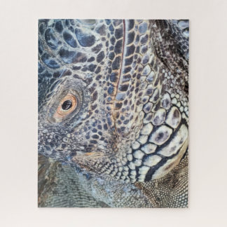 A close up head of a green iguana. Challenging Puzzle