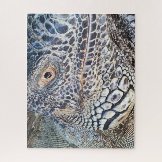 A close up head of a green iguana. Challenging Puzzle (Vertikal)