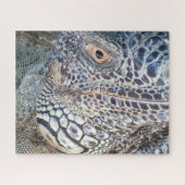 A close up head of a green iguana. Challenging Puzzle (Horizontal)