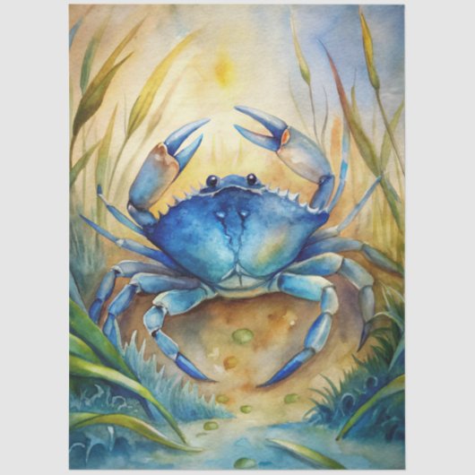 A Coastal Series Design 80 Seidenpapier (Vorderseite)