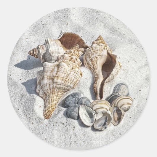 A Collection of Seashells on Sand Runder Aufkleber (Vorderseite)