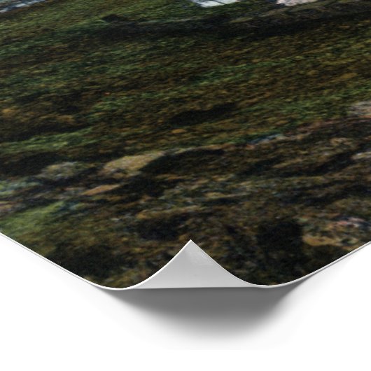 A Columbia River Riverboat Scene Poster (Ecke)