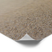 A Conch Shell On The Beach | St. Croix, Usvi Poster (Ecke)