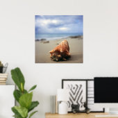A Conch Shell On The Beach | St. Croix, Usvi Poster (Heimbüro)