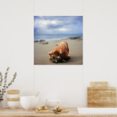 A Conch Shell On The Beach | St. Croix, Usvi Poster (Küche)