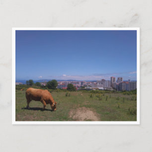 A Coruna, Galicien (Spanien) Postkarte