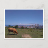 A Coruna, Galicien (Spanien) Postkarte (Vorderseite)