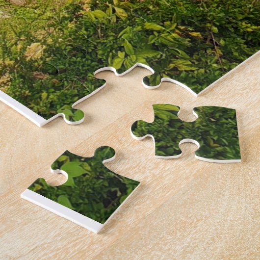 A Costal paradise. Puzzle (Seite)