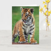 A cute baby tiger karte (Gelbe Blume)