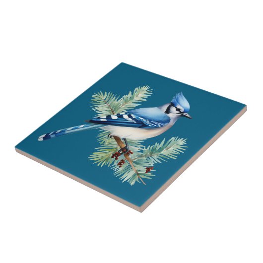 A Cute Blue Jay  Fliese (Seite)