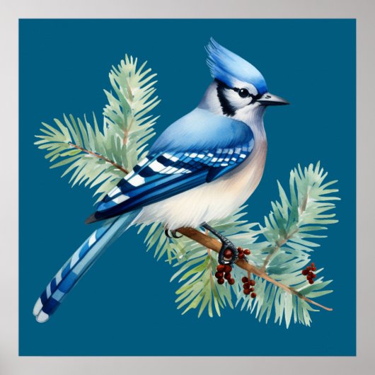 A Cute Blue Jay  Poster (Vorne)