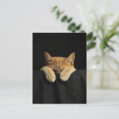 A Cute Sleepy Ginger Kitty Hanging Off the Bed Postkarte (Stehend Vorderseite)