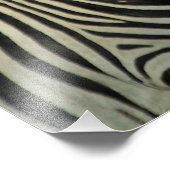 A DAZZLE VON ZEBRAS FOTODRUCK (Ecke)