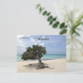 A Divi Tree am Strand von Eagle in Aruba Postkarte (Stehend Vorderseite)