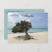 A Divi Tree am Strand von Eagle in Aruba Postkarte (Vorne/Hinten)