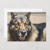 A domestic dog looks trustingly into the camera. postkarte (Vorne/Hinten)