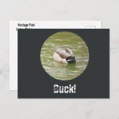 A Ducking Duck Postcard Feiertagspostkarte (Vorne/Hinten)
